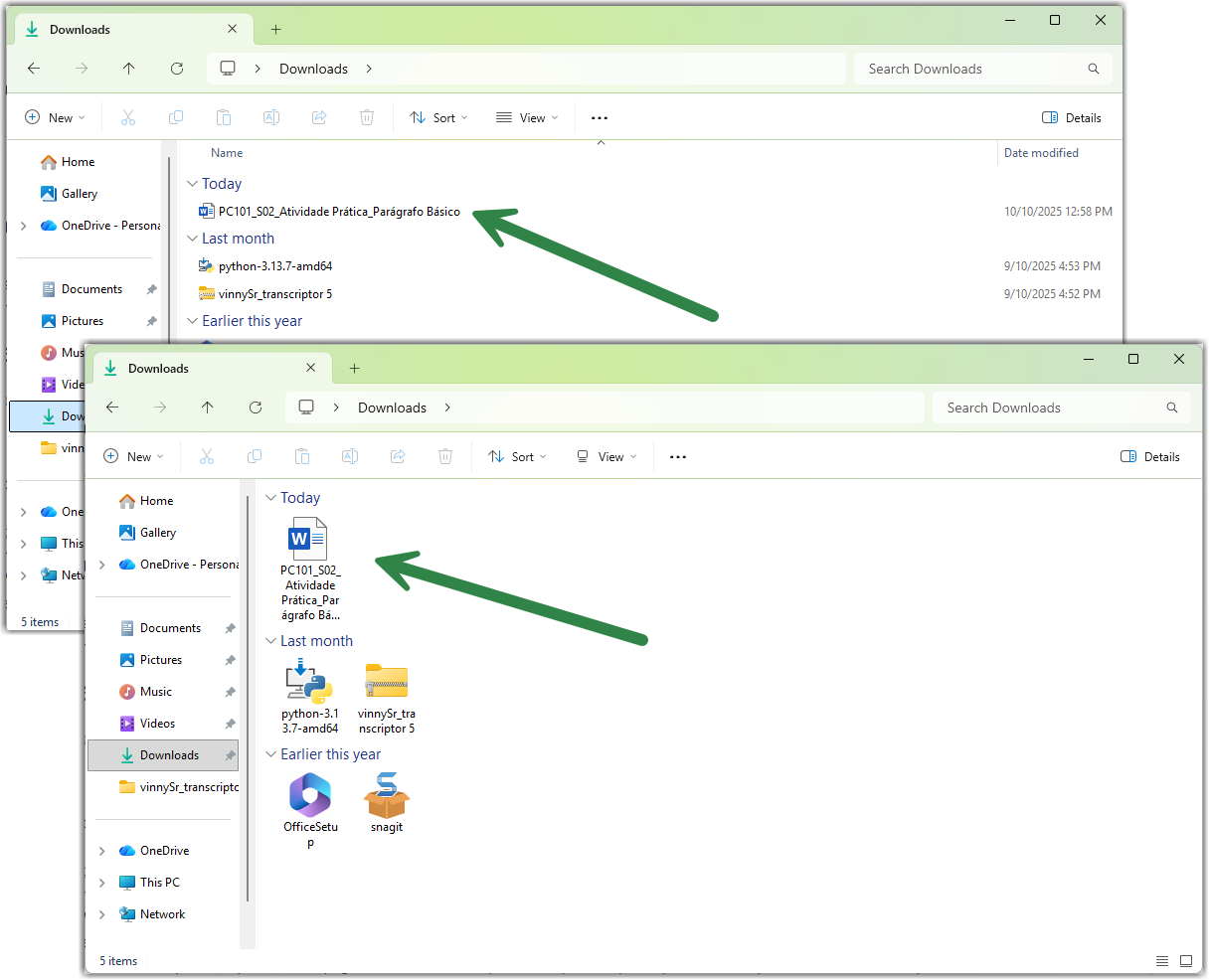 Two views of a computer's Downloads folder.
