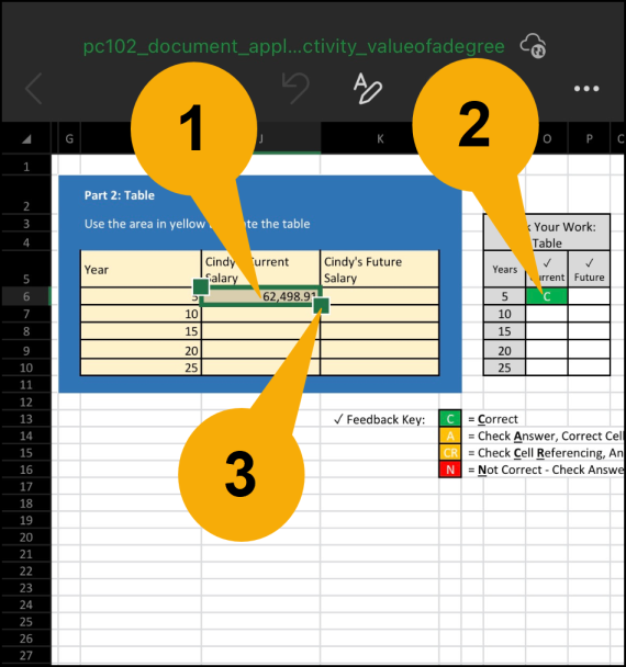 Tap away for the formula to be calculated. A letter C will appear in the Check Your Work table, which signifies that your answer is correct. A circle will appear at the corners of the cell when you tap it. Tap and hold for a couple of seconds for a pop up menu to appear. Tap the option "Fill" so that the circles will turn into squares.