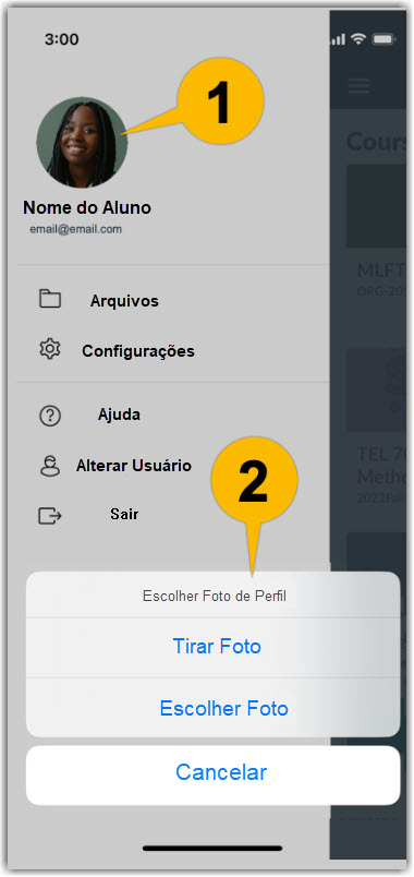 Screenshot showing the language drop down selector, the time zone dropdown selector, and the update settings and cancel buttons.